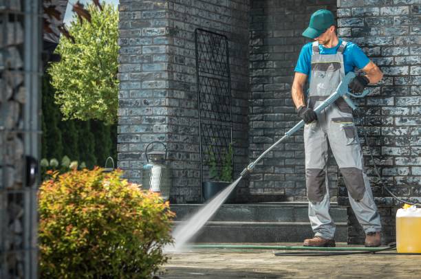 Best Residential Pressure Washing in Park Rapids, MN