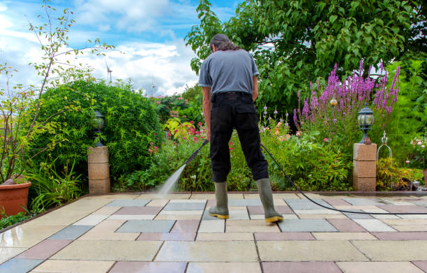 Best Parking Lot Cleaning in Park Rapids, MN