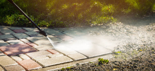 Best Driveway Cleaning and Restoration in Park Rapids, MN