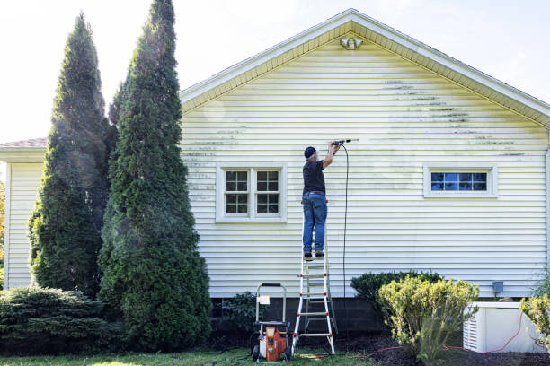 Best Building Exterior Pressure Washing in Park Rapids, MN